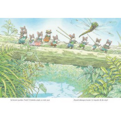 Familia Șoricel și lacul libelulelor - Kazuo Iwamura