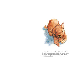 Cuțu, povestea unui cățel de pluș - Shirley Hughes