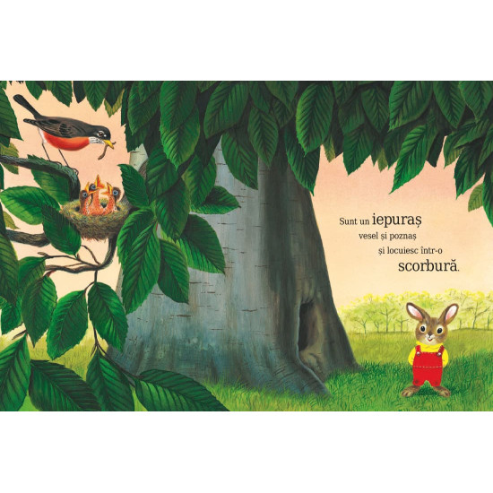 Sunt un iepuraș - Richard Scarry