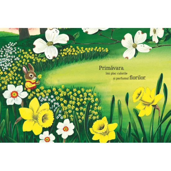 Sunt un iepuraș - Richard Scarry