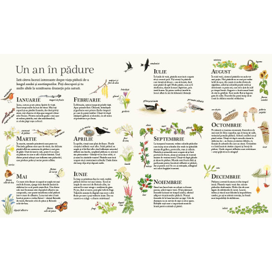 Pădurea lui Șoricel - Alice Melvin Pădurea lui Șoricel - Alice Melvin