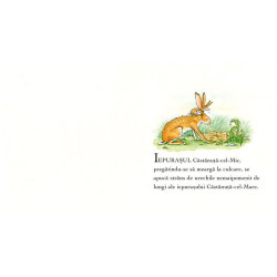Ghici cât de mult te iubesc - Ediție CARTONATĂ integral - Sam McBratney și Anita Jeram