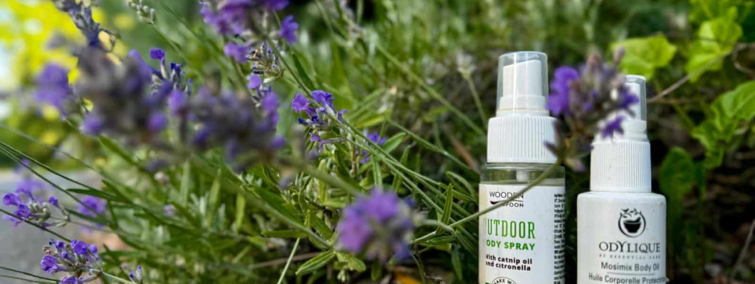 A început sezonul insectelor: cum ne protejăm natural de țânțari și căpușe