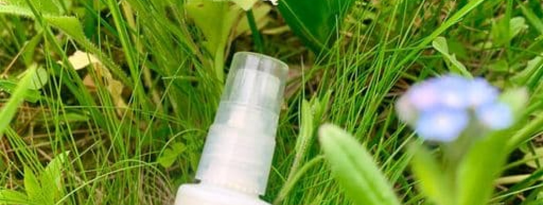 Remedii naturale contra insectelor: protejează-ți familia în mod sigur și eficient Remedii naturale contra insectelor: protejează-ți familia în mod sigur și eficient