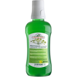 Apă de gură Corpore Sano Fresh Protection - cu smirnă, propolis și fenicul - 250 ml Apă de gură Corpore Sano Fresh Protection - cu smirnă, propolis și fenicul - 250 ml