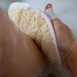 Luffa pad Croll & Denecke Luffa pad Croll & Denecke
