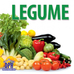 Legume - carte cartonată ”acordeon” pentru bebeluși și copii mici
