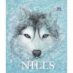 Nills - Gabriel Poenaru Nills - Gabriel Poenaru