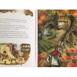 Bucătăreasa zânelor - Shirley Barber - colecția Martha B. Rabbit