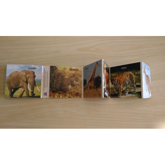 Animale sălbatice - carte cartonată ”acordeon” pentru bebeluși și copii mici Animale sălbatice - carte cartonată ”acordeon” pentru bebeluși și copii mici