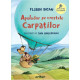 Apolodor pe crestele Carpaților - Florin Bican și Dan Ungureanu - colecția Apolodor Explorator