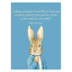 Aventurile lui Peter Iepurașul - Beatrix Potter Aventurile lui Peter Iepurașul - Beatrix Potter