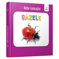 Gâzele - Bebe cunoaște Gâzele - Bebe cunoaște