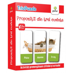 Propoziții din trei cuvinte - Triopuzzle