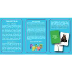 Ghicitori - Cărți de joc educative - EduCard Junior Plus Ghicitori - Cărți de joc educative - EduCard Junior Plus