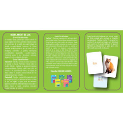 Limba engleză - Cărți de joc educative Educard Limba engleză - Cărți de joc educative Educard