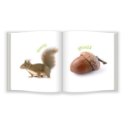 Natura - Bebe cunoaște Natura - Bebe cunoaște