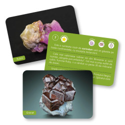 Roci și minerale - Cărți de joc educative Montessori pentru 6-12 ani Roci și minerale - Cărți de joc educative Montessori pentru 6-12 ani