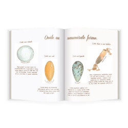 Ouăle sunt tăcute - Magia naturii - Diana Hutts Aston și Sylvia Long Ouăle sunt tăcute - Magia naturii - Diana Hutts Aston și Sylvia Long