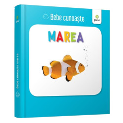 Marea - Bebe cunoaște