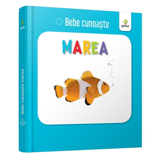 Marea - Bebe cunoaște