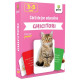 Ghicitori - Cărți de joc educative - EduCard Junior Plus Ghicitori - Cărți de joc educative - EduCard Junior Plus