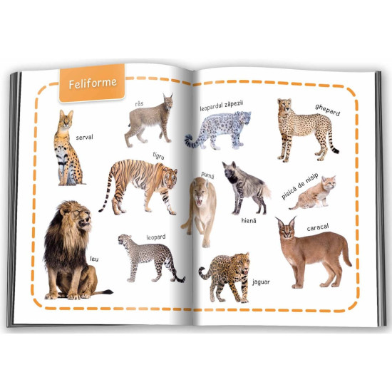 Învăț 100 de cuvinte - Animale
