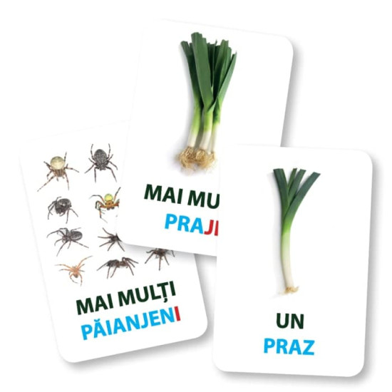 Unul versus mai multe - EduCard Junior Plus - Cărți de joc educative