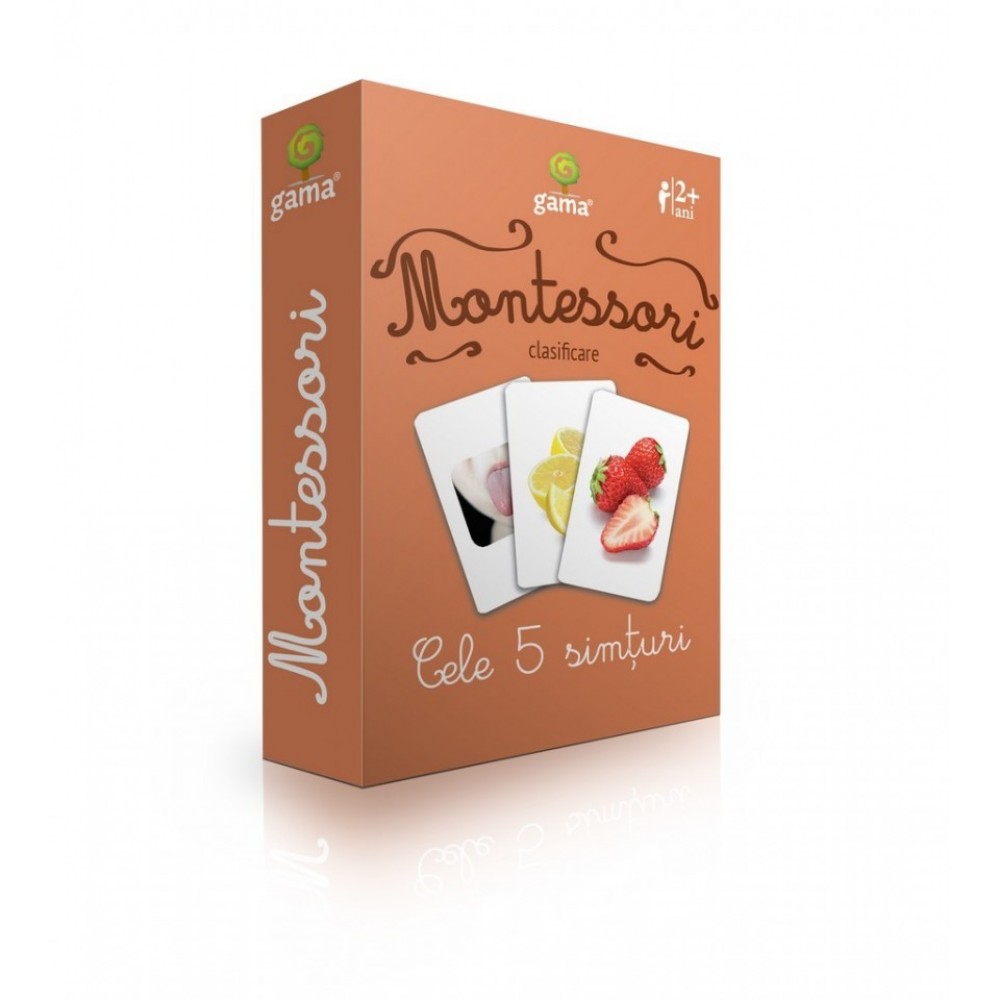 Cele 5 simțuri - Cărți de joc bilingve Montessori - Clasificare