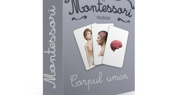 Corpul Uman Carti De Joc Bilingve Montessori Vocabular