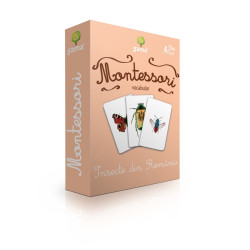 Insecte din România - Cărți de joc bilingve Montessori - Vocabular Insecte din România - Cărți de joc bilingve Montessori - Vocabular