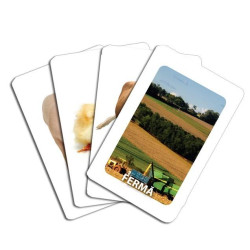 Primele cuvinte - Cărți de joc educative Primele cuvinte - Cărți de joc educative
