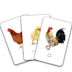 Familii de animale - Cărți de joc bilingve Montessori - Vocabular Familii de animale - Cărți de joc bilingve Montessori - Vocabular