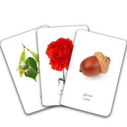 Lumea plantelor - Cărți de joc bilingve Montessori - Vocabular Lumea plantelor - Cărți de joc bilingve Montessori - Vocabular