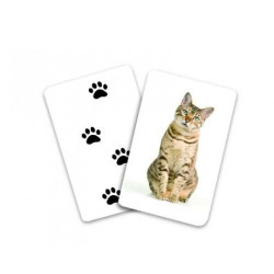 Urme de animale - Cărți de joc bilingve Montessori - Asocieri