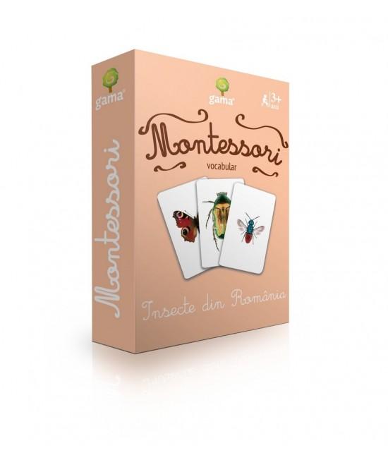 Insecte din România - Cărți de joc bilingve Montessori - Vocabular