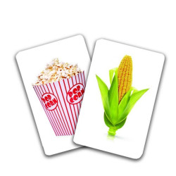 Originea alimentelor - Cărți de joc bilingve Montessori - Asocieri Originea alimentelor - Cărți de joc bilingve Montessori - Asocieri