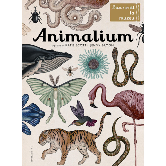 Animalium. Bun venit la muzeu. Intrarea libera - Katie Scott și Jenny Broom