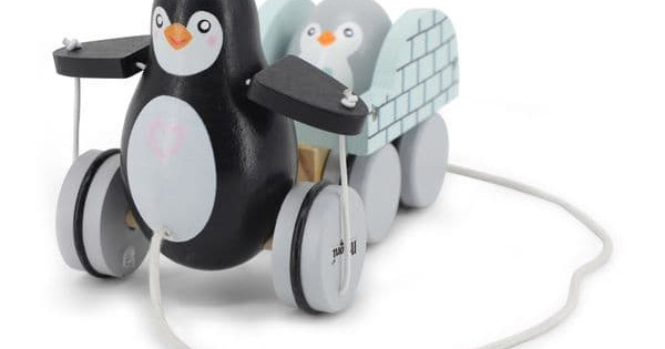 Jucarie De Tras Lemn Magni Pinguin Ou
