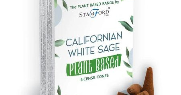Conuri Parfumate Salvie Alba De California 15 Buc Stamford