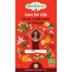 Ceai organic ayurvedic Shoti Maa Balance Your Day - Love for life - Joy - cacao, cardamom și portocală BIO - 16 dz x 2g Ceai organic ayurvedic Shoti Maa Balance Your Day - Love for life - Joy - cacao, cardamom și portocală BIO - 16 dz x 2g