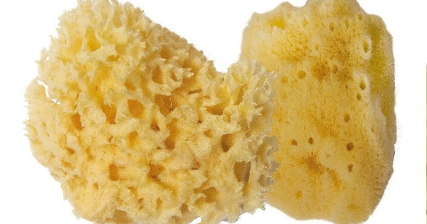 Burete De Baie Natural Mic Croll Denecke Baie Bebelusi