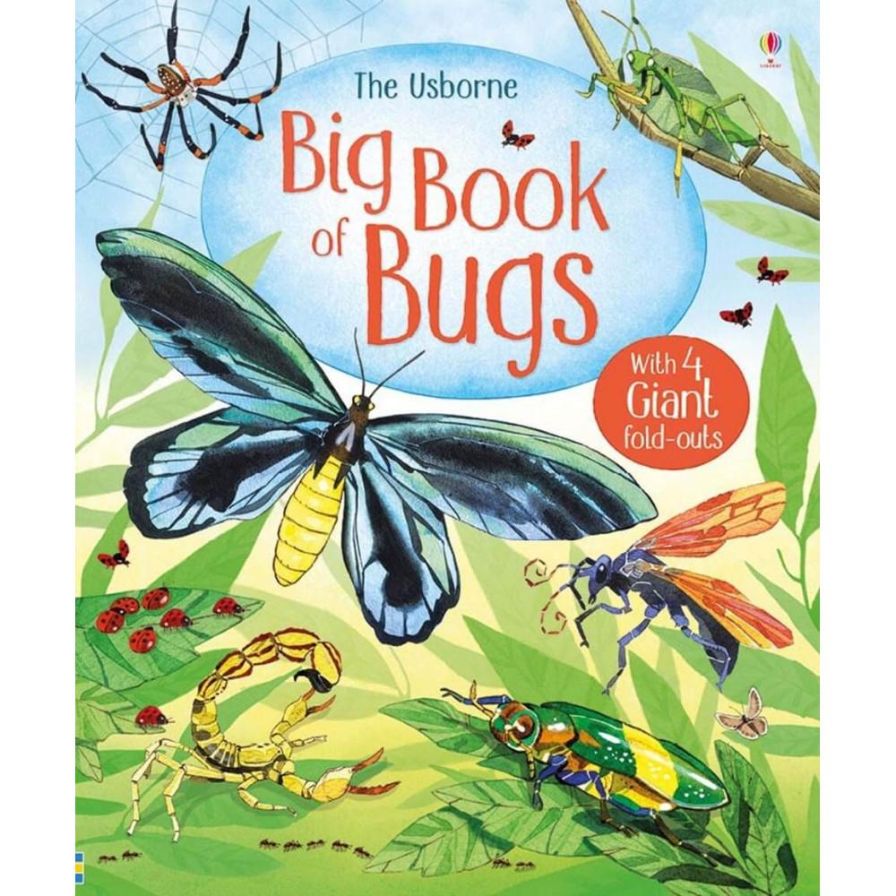 The Usborne Big Book of Bugs